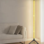 Dimmable LED RGB Floor Lamp