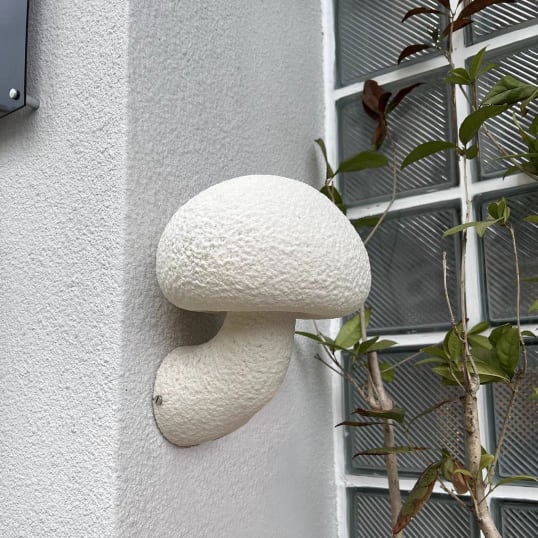 Ioakka | Glow Mushroom Resin Wall Light