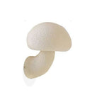 Ioakka | Glow Mushroom Resin Wall Light