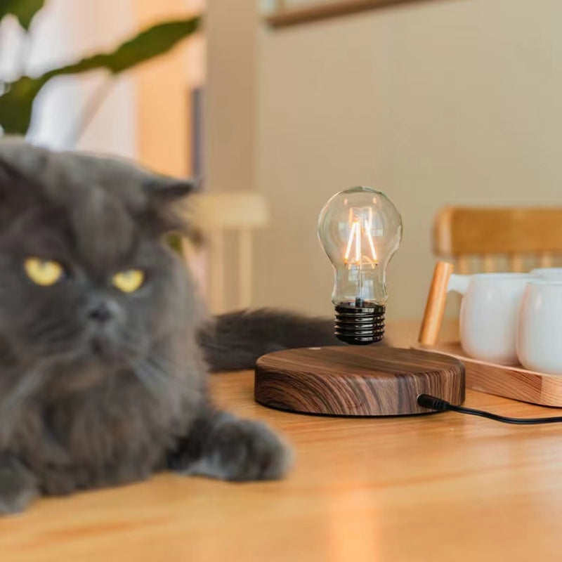 LumiFloat – Floating Liquid Bulb Ambient Lamp