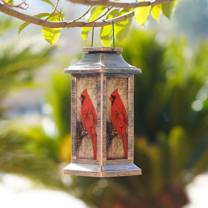 Bird Design Solar Lantern